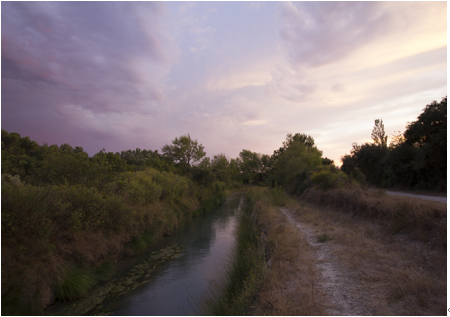 ©Rachel Crozier.png